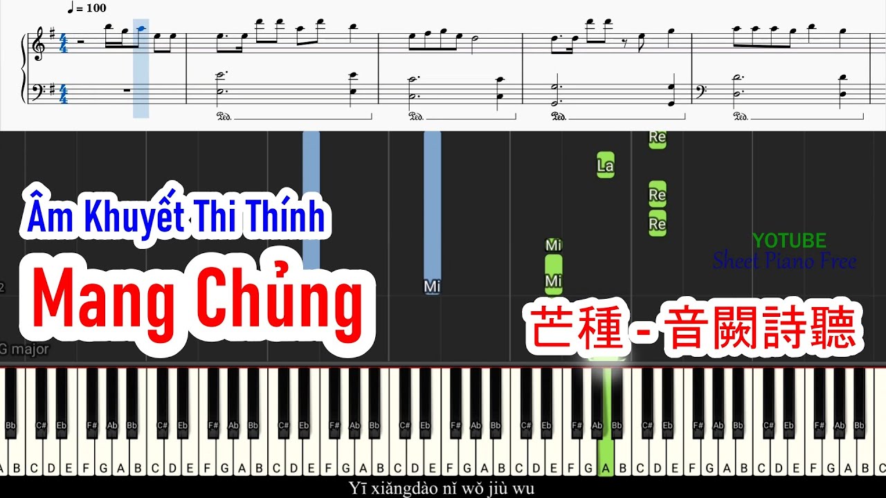 Hướng Dẫn Đánh Piano Bài Mang Chủng: Kỹ Thuật Cơ Bản
