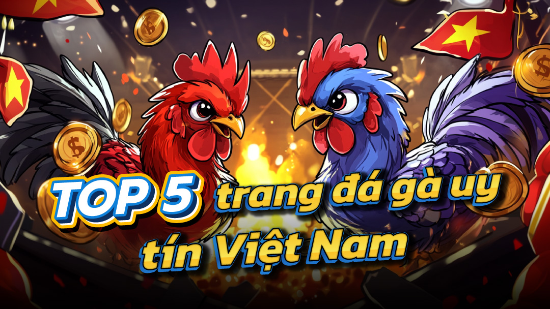 Trải Nghiệm Xem Đá Gà Trực Tiếp Tại Các Nhà Cái Uy Tín