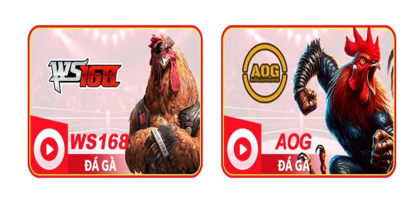 Đá Gà 88 – Soco88 Net L-V1 5 4: Nền Tảng Cá Cược Đá Gà Trực Tuyến Uy Tín và An Toàn