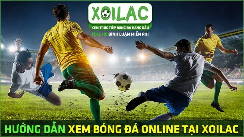 Xem bóng đá trực tiếp nhà cái uy tín - Tổng hợp link xem chất lượng cao