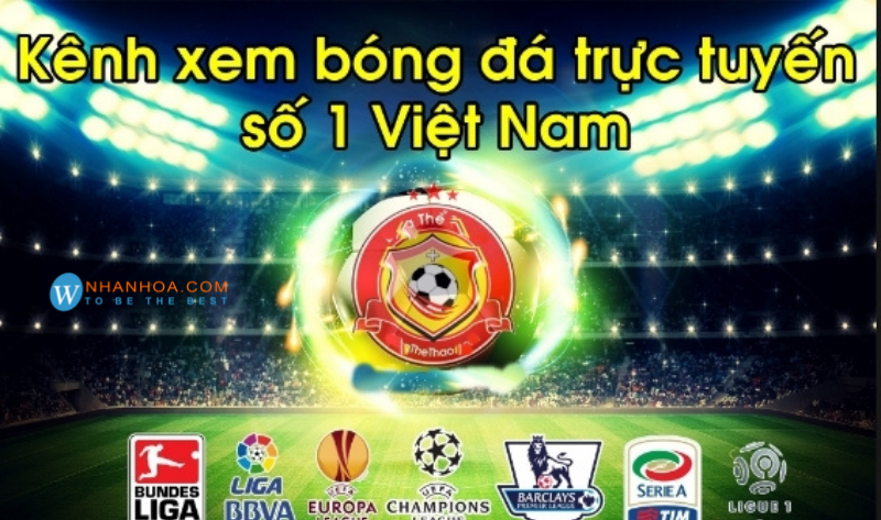 [TOP 5+] Trang Web Xem Bóng Đá Trực Tiếp Chất Lượng Nhất