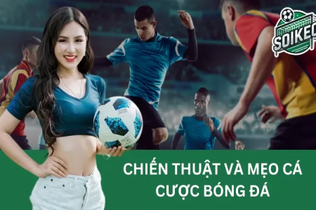 Chơi cá cược tại nhà cái Sin88: Hướng dẫn cho người mới bắt đầu